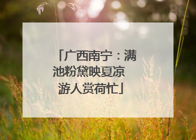 广西南宁：满池粉黛映夏凉 游人赏荷忙