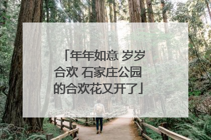 年年如意 岁岁合欢 石家庄公园的合欢花又开了