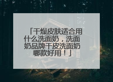 干燥皮肤适合用什么洗面奶，洗面奶品牌干皮洗面奶哪款好用！