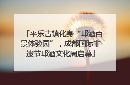 平乐古镇化身“邛酒百景体验园”，成都国际非遗节邛酒文化周启幕