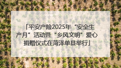 平安产险2025年“安全生产月”活动暨“乡风文明”爱心捐赠仪式在菏泽单县举行