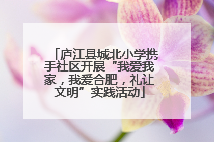 庐江县城北小学携手社区开展“我爱我家，我爱合肥，礼让文明”实践活动