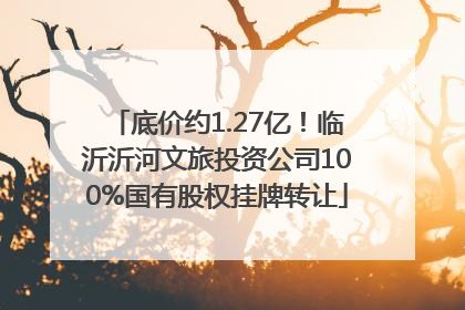 底价约1.27亿！临沂沂河文旅投资公司100%国有股权挂牌转让
