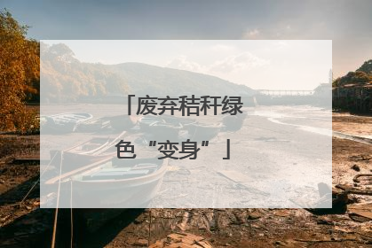 废弃秸秆绿色“变身”