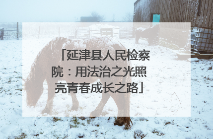延津县人民检察院：用法治之光照亮青春成长之路