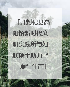 开封杞县高阳镇新时代文明实践所与妇联携手助力“三夏”生产