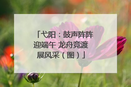 弋阳：鼓声阵阵迎端午 龙舟竞渡展风采（图）