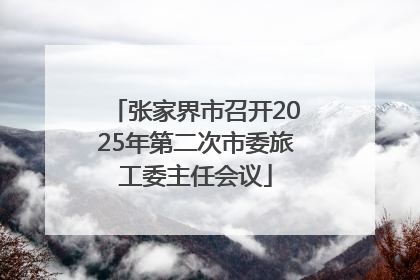 张家界市召开2025年第二次市委旅工委主任会议