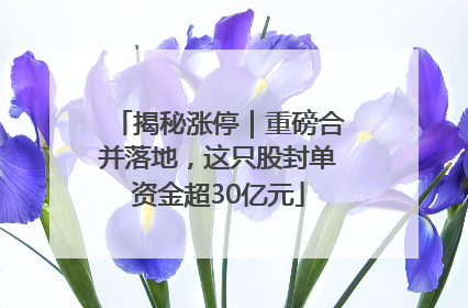 揭秘涨停｜重磅合并落地，这只股封单资金超30亿元