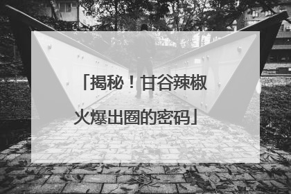 揭秘！甘谷辣椒火爆出圈的密码