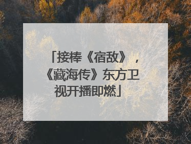 接棒《宿敌》，《藏海传》东方卫视开播即燃
