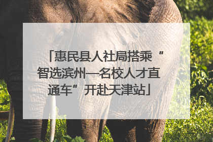 惠民县人社局搭乘“智选滨州—名校人才直通车”开赴天津站
