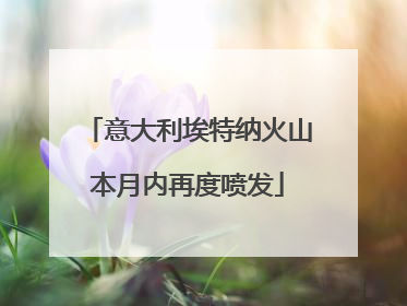 意大利埃特纳火山本月内再度喷发