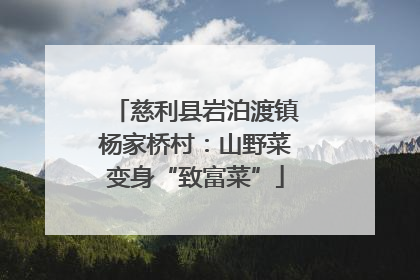 慈利县岩泊渡镇杨家桥村：山野菜变身“致富菜”