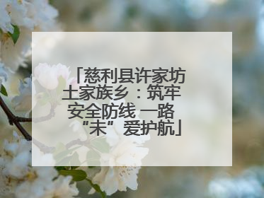 慈利县许家坊土家族乡：筑牢安全防线 一路“未”爱护航