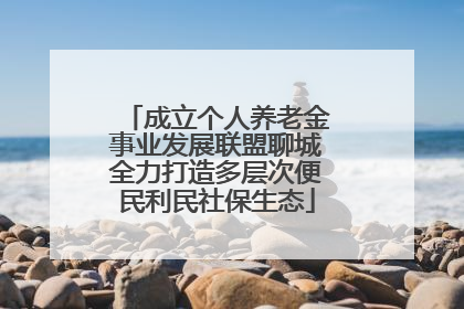 成立个人养老金事业发展联盟聊城全力打造多层次便民利民社保生态
