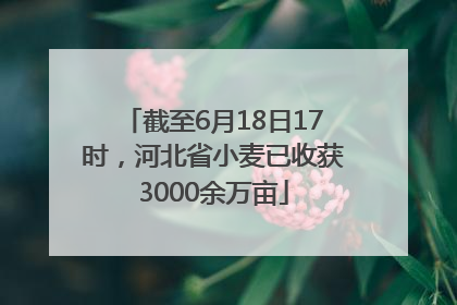 截至6月18日17时，河北省小麦已收获3000余万亩