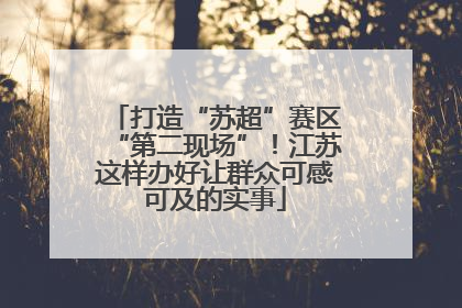 打造“苏超”赛区“第二现场”！江苏这样办好让群众可感可及的实事