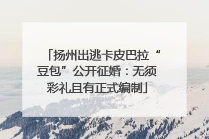 扬州出逃卡皮巴拉“豆包”公开征婚：无须彩礼且有正式编制