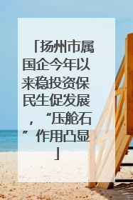 扬州市属国企今年以来稳投资保民生促发展，“压舱石”作用凸显