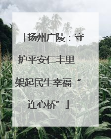 扬州广陵：守护平安仁丰里 架起民生幸福“连心桥”
