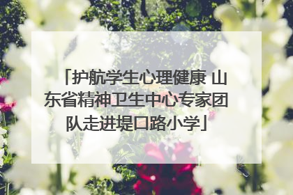 护航学生心理健康 山东省精神卫生中心专家团队走进堤口路小学