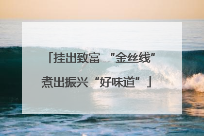 挂出致富 “金丝线” 煮出振兴“好味道”