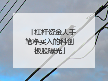 杠杆资金大手笔净买入的科创板股曝光