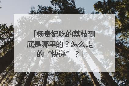 杨贵妃吃的荔枝到底是哪里的？怎么走的“快递”？
