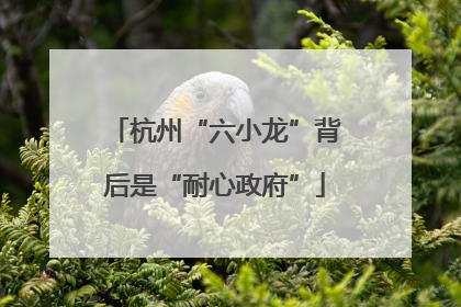 杭州“六小龙”背后是“耐心政府”