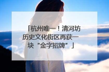 杭州唯一！清河坊历史文化街区再获一块“金字招牌”