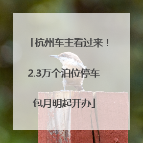 杭州车主看过来！2.3万个泊位停车包月明起开办