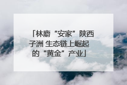 林麝“安家”陕西子洲 生态链上崛起的“黄金”产业