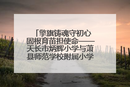 擎旗铸魂守初心 固根育苗担使命——天长市炳辉小学与萧县师范学校附属小学结对共建活动纪实