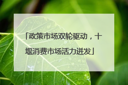 政策市场双轮驱动，十堰消费市场活力迸发