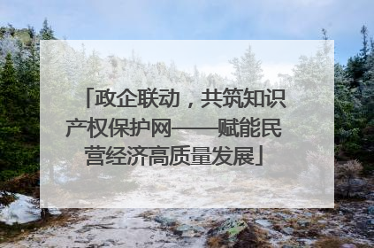 政企联动，共筑知识产权保护网——赋能民营经济高质量发展