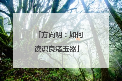 方向明：如何读识良渚玉器