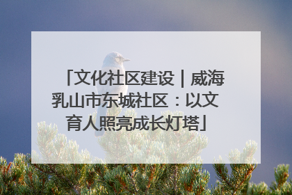 文化社区建设｜威海乳山市东城社区：以文育人照亮成长灯塔