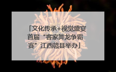 文化传承+视觉盛宴 首届“客家舞龙争霸赛”江西赣县举办