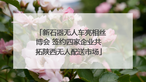 新石器无人车亮相丝博会 签约四家企业共拓陕西无人配送市场