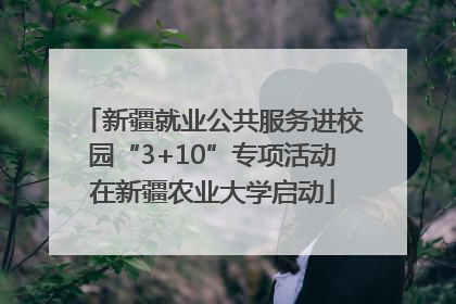 新疆就业公共服务进校园“3+10”专项活动在新疆农业大学启动