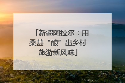 新疆阿拉尔：用桑葚“酿”出乡村旅游新风味