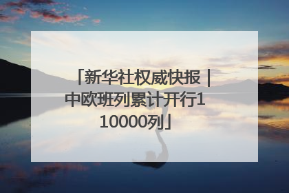 新华社权威快报｜中欧班列累计开行110000列