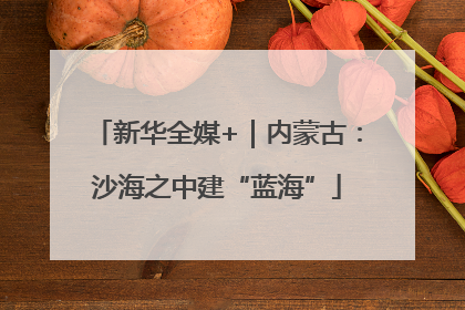 新华全媒+｜内蒙古：沙海之中建“蓝海”