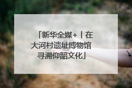 新华全媒+丨在大河村遗址博物馆寻溯仰韶文化