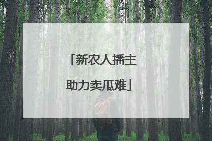 新农人播主 助力卖瓜难