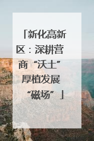 新化高新区：深耕营商“沃土” 厚植发展“磁场”