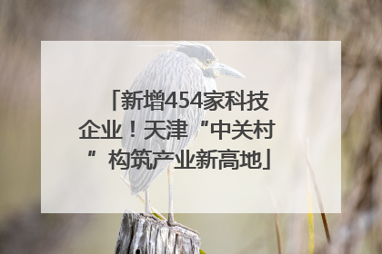 新增454家科技企业！天津“中关村”构筑产业新高地