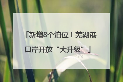 新增8个泊位！芜湖港口岸开放“大升级”