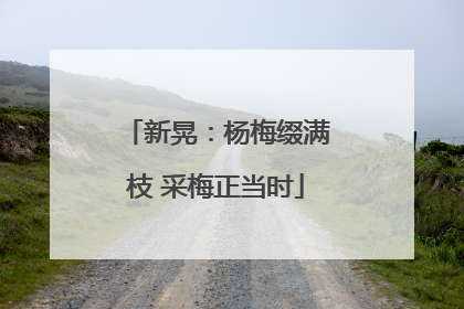 新晃：杨梅缀满枝 采梅正当时